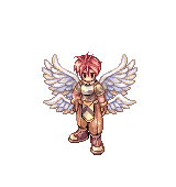 Valkyrie Wings